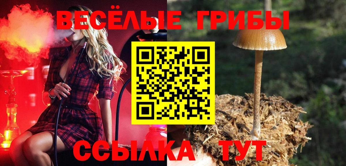 Псилоцибиновые грибы мухоморы  Вход с VPN  Чернушка  Галлюциногенные грибы Psilocybine cubensis 