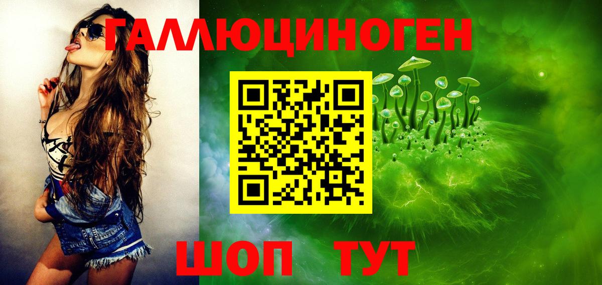 Псилоцибиновые грибы Magic Shrooms Чернушка